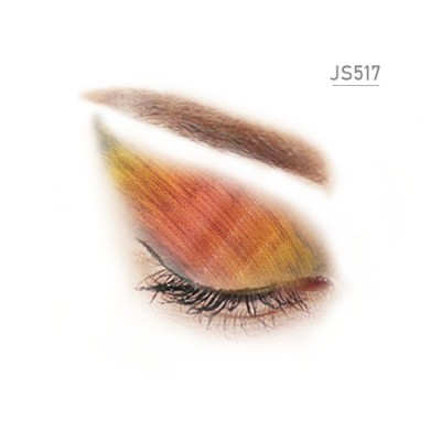 JS517