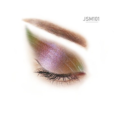 JSM101