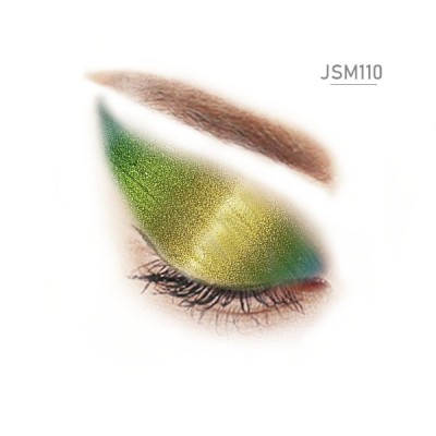 JSM110