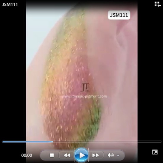 JSM111