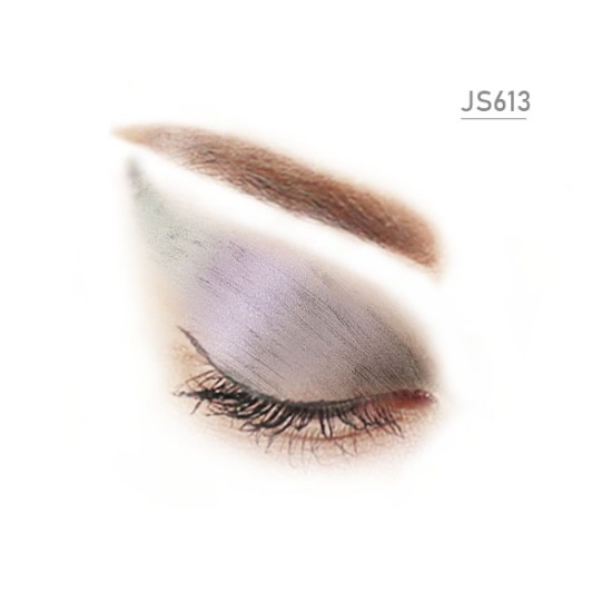  JS613