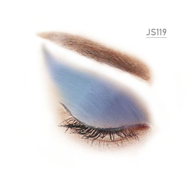 JS119