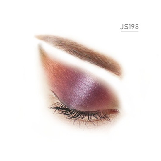 JS198