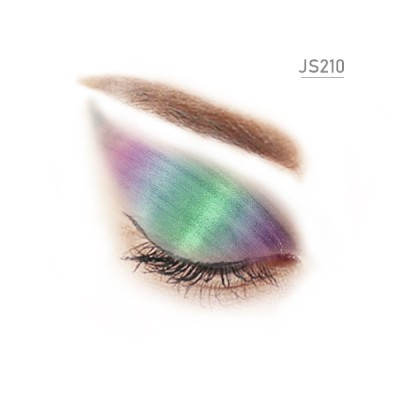 JS210