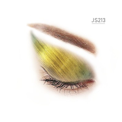 JS213