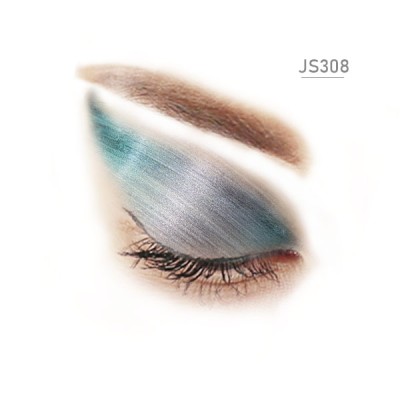 JS308