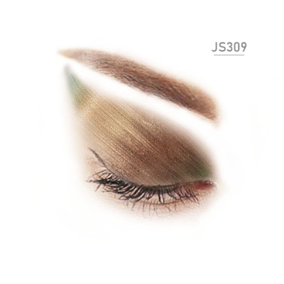 JS309