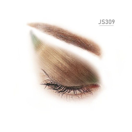 JS309