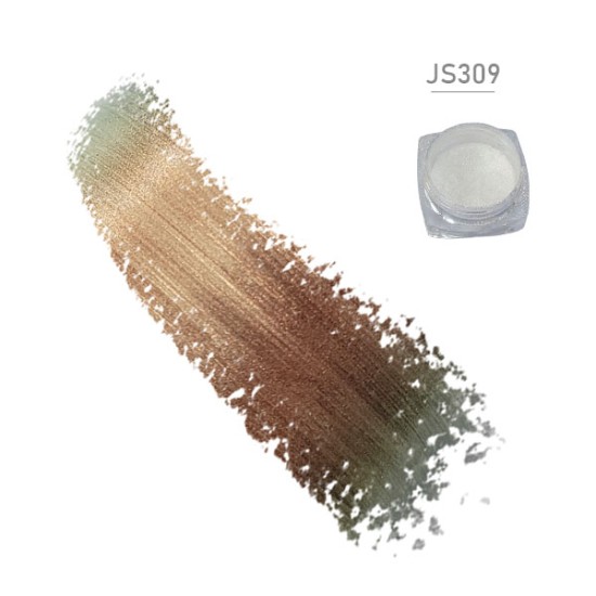 JS309