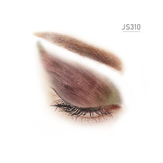 JS310