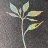 绘画色料