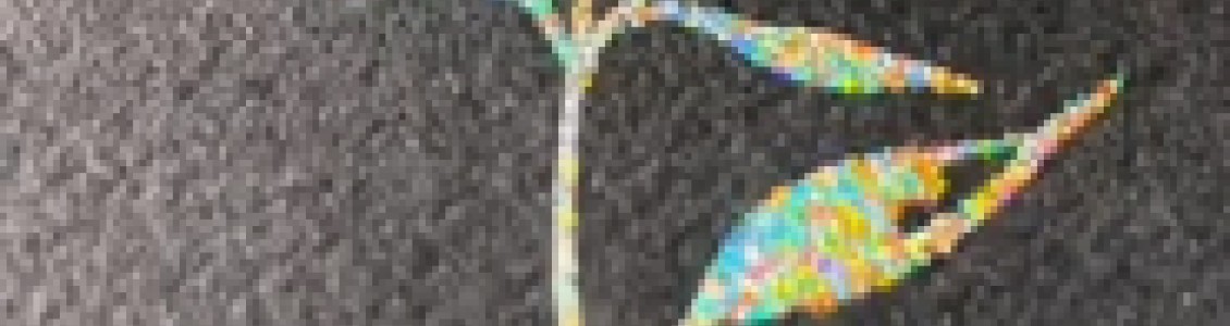 绘画色料